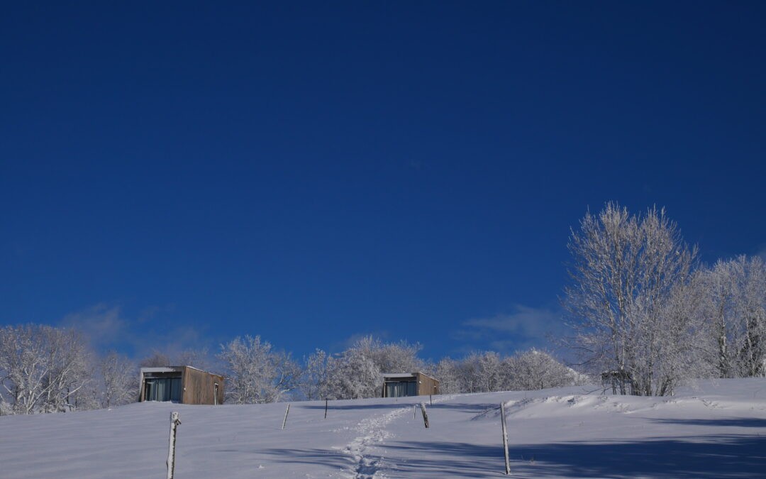 Retour de la neige