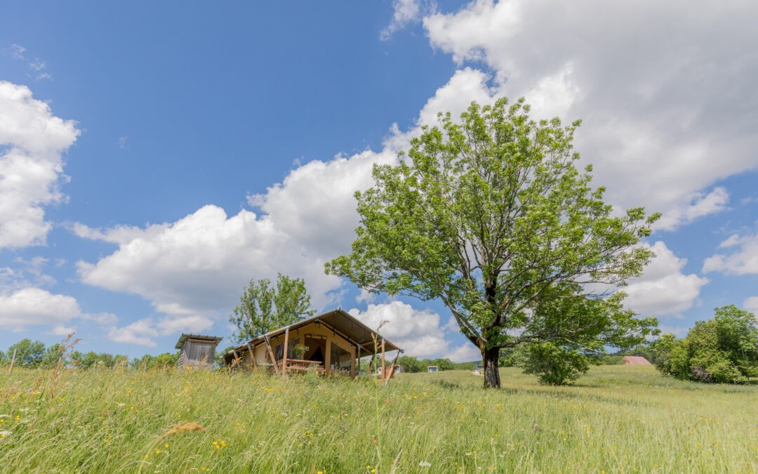 Ouverture des tentes lodges