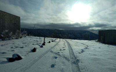 Livraison de blanc en cours!