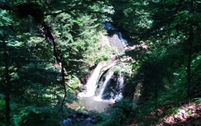 Pause fraicheur dans le Sancy?