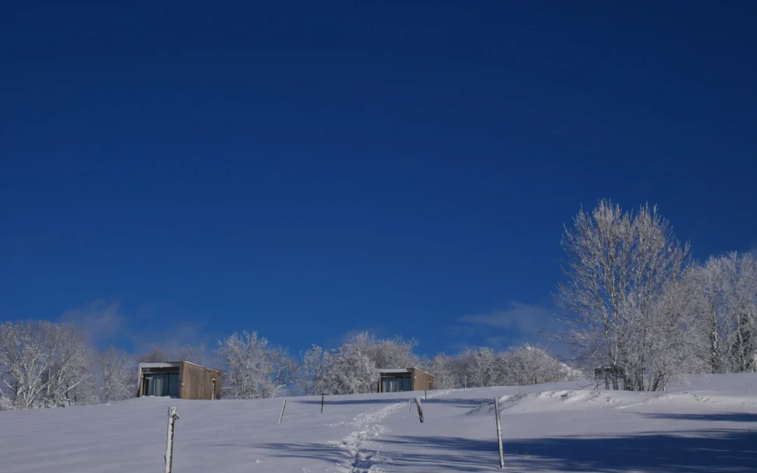 Retour de la neige