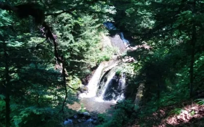 Pause fraicheur dans le Sancy?